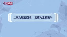 變廢為寶新路徑！ 中國科學家實現(xiàn)二氧化碳合成葡萄...
