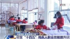 七部門聯(lián)合推動(dòng)殘疾人中等職業(yè)教育高質(zhì)量發(fā)展